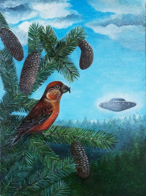 FIOKLA KIURĖ Skraidantys objektai. Kryžiasnapis, 2009 Drobė, aliejus 40 × 30 cm