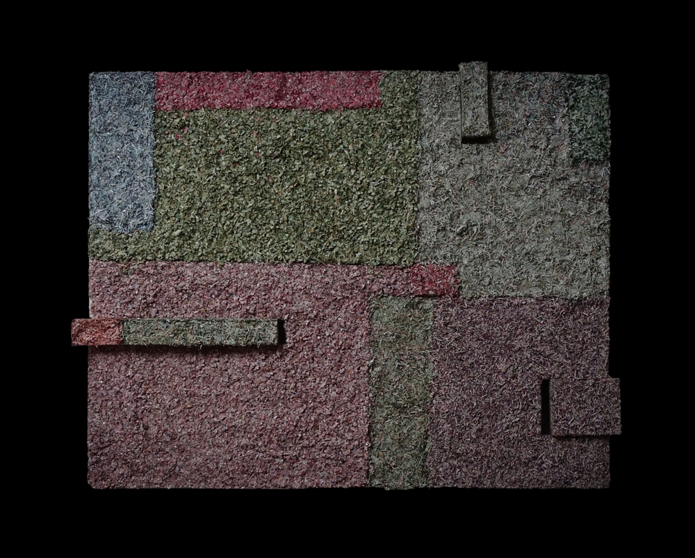 pinigu_siena_A