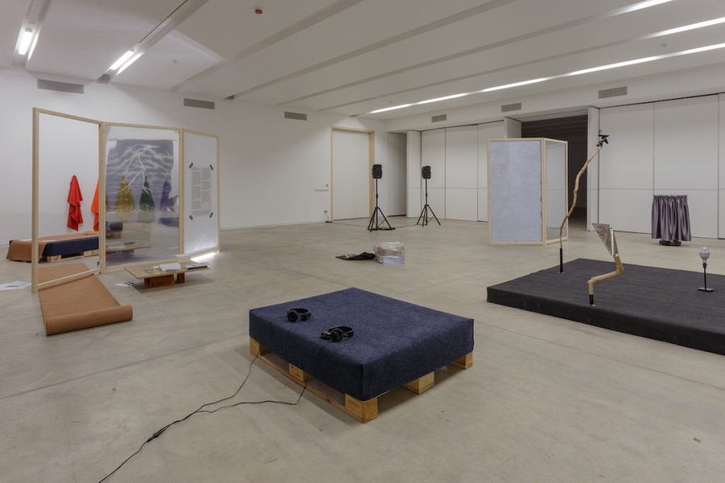 Double Bind, exhibition view, 2015